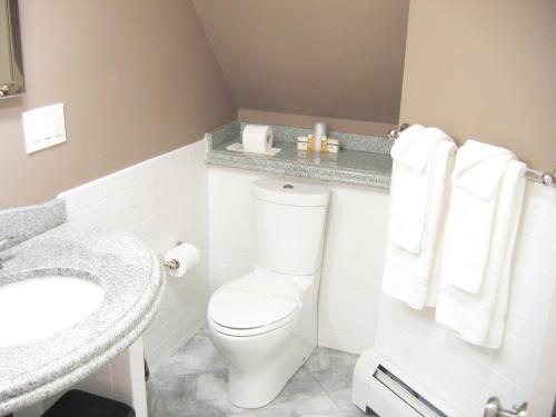 a bathroom with a toilet and a sink at Longwood Inn in Brookline