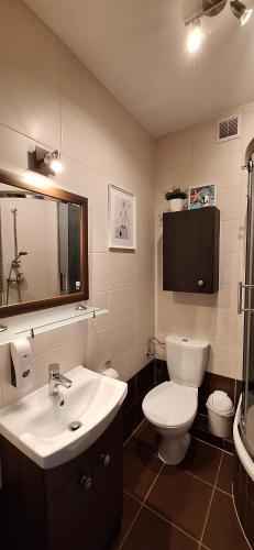 ミエンジズドロイェにあるApartament Flauta, Villa Mareaのバスルーム(洗面台、トイレ、鏡付)