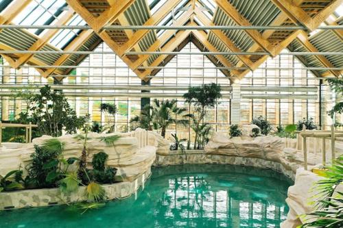 une piscine dans une serre avec une piscine dans l'établissement La Maison Jumelle ELM Tonneins, à Tonneins