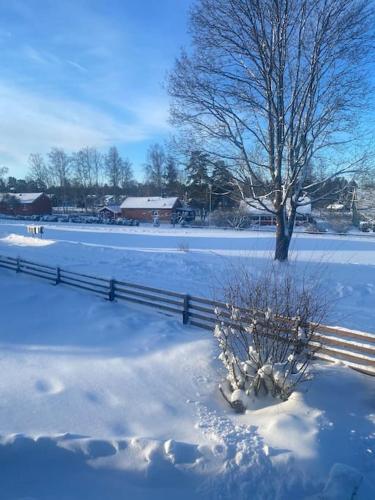 a snow covered field with a fence and a tree at Lantligt hus nära Isaberg in Nissafors