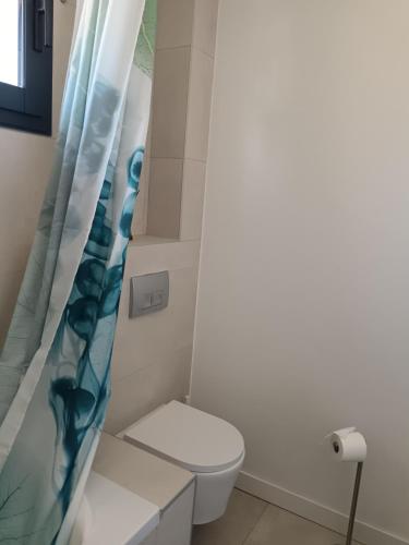 une salle de bain avec toilettes et rideau de douche dans l'établissement Chambre à louer au calme, à Roquefort-les-Pins