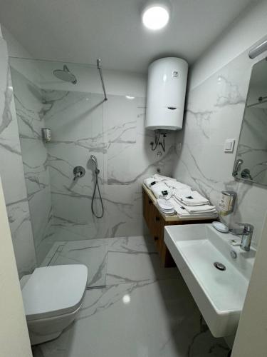 Ένα μπάνιο στο PRZNO MOSTOLIVA APARTMENT