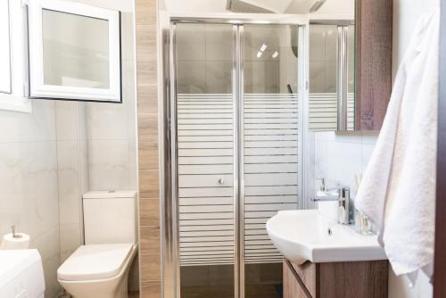 a bathroom with a shower and a toilet and a sink at Valeria Apartament Cozy & Quiet in Kallithea Halkidikis