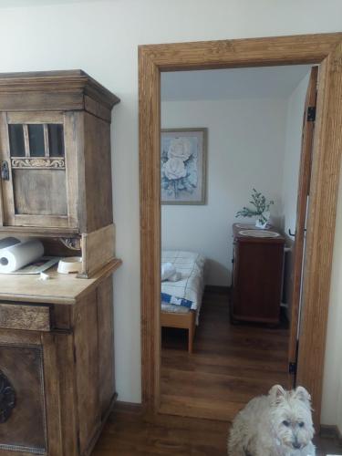 a white dog laying on the floor in a room at Nadmorskie Apartamenty in Ustka