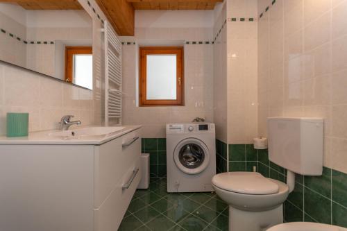 a bathroom with a toilet sink and a washing machine at Residence Rosental in Alleghe