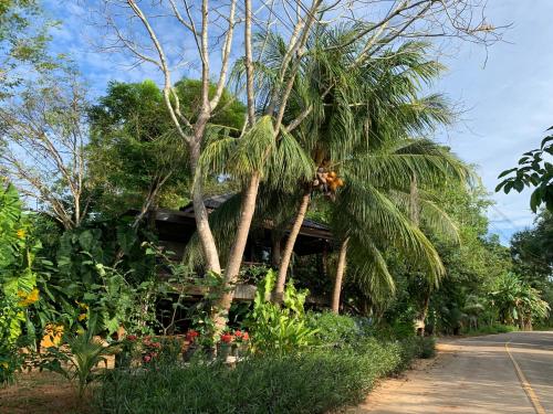 a palm tree in front of a house at Wooden House,Rustic charm in quiet area in Ban Khlong Chi Lat