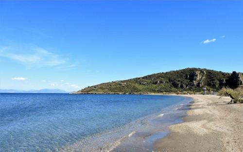 a view of a beach with a mountain in the background at Para-dise-lio Studios in Paralion astros