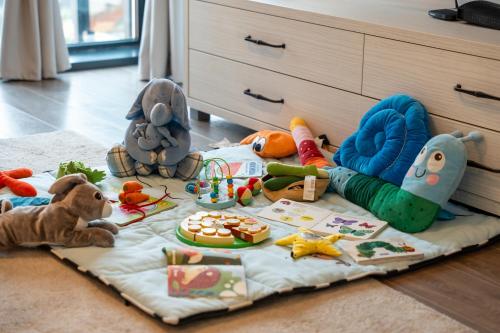 a bunch of toys sitting on a blanket on the floor at Dorin Kutak, klimatizovan, garažno mesto in Zlatibor