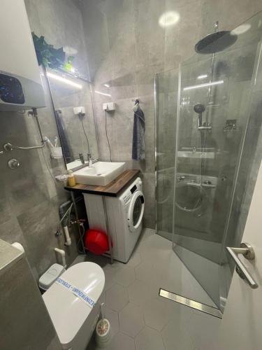 een badkamer met een douche, een toilet en een wastafel bij GoGo studio in Ljig