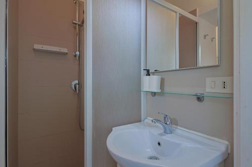 W łazience znajduje się umywalka, lustro i prysznic. w obiekcie B&B Cristina Garden w Pizie