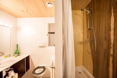 ein Bad mit einer Dusche, einem WC und einem Waschbecken in der Unterkunft Westerpark Loft, private studio in Amsterdam