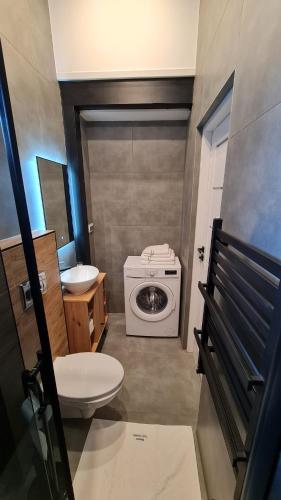 Un baño con inodoro y lavadora. en Dream Apartments 3B KLIMATYZACJA, en Oświęcim
