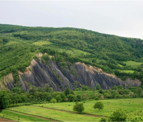 a grassy field with a mountain in the background at La Grădina in Mehadia