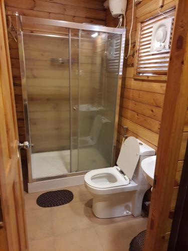 a bathroom with a toilet and a glass shower at Kashid Heritage Beach Resort in Kashid