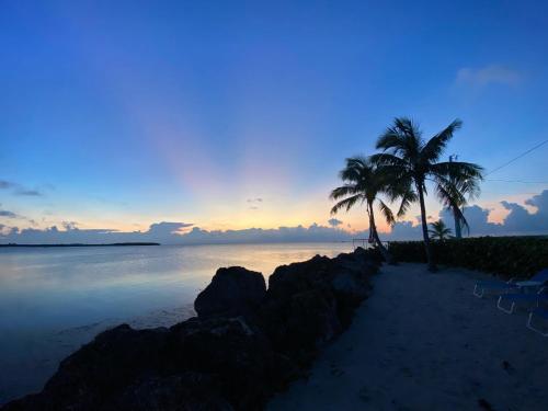 a beach with two palm trees and the ocean at Vacay Vibes-2 Pools, Pickleball, Coffee Bar, 2 Jacuzzis, Food Truck in Key Largo