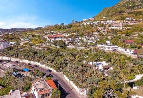 イスキアにあるVilla Ravino Aparthotelの丘の上の町の空中