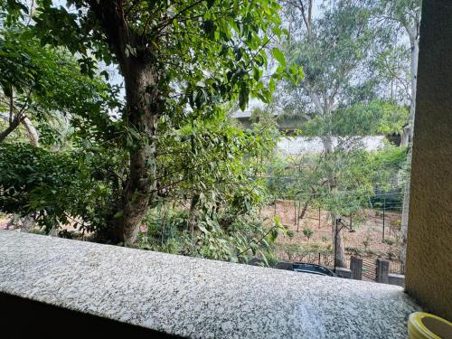 a view of a tree from a window at The LUTF in New Delhi