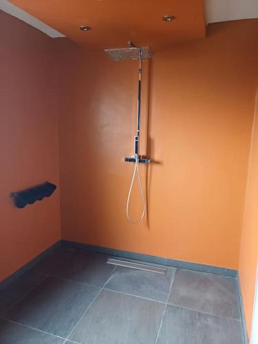 a bathroom with a shower in the corner of a room at Le Gite de Mamou, grande capacité proche de Strasbourg in Uhlwiller