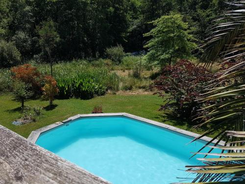 une grande piscine bleue dans un jardin dans l'établissement villa bois sur pilotis avec vue sur forêt, à Tarnos