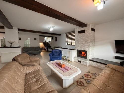 sala de estar con sofá y chimenea en Skyline Villa, en Azuga