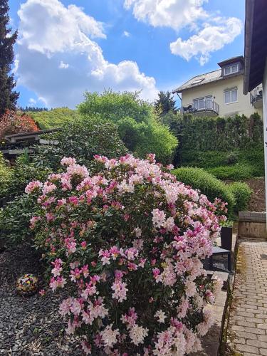 a garden with pink flowers in front of a house at Ferienhaus Am Reilsbach in Cochem
