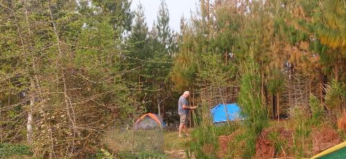 a man standing in a forest with a tent at Everest Home Stay Temal Kalimati Tower in Thapathali