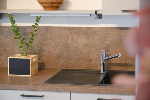 - un évier de cuisine avec une plante en pot sur le comptoir dans l'établissement appartement idéalement situé sur aix en provence, à Aix-en-Provence