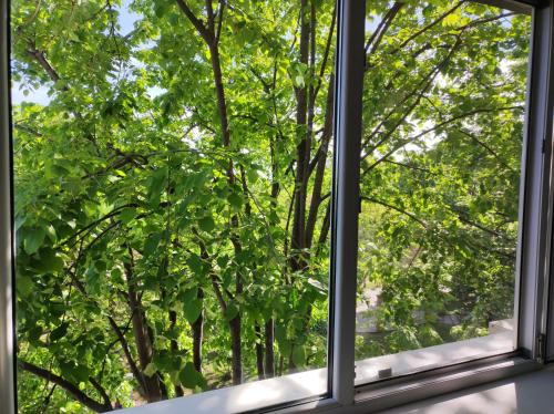 an open window with a view of trees at Tomis 99 Apart in Constanţa