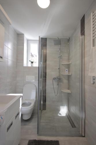 a bathroom with a shower and a toilet and a sink at Apartman Zivic in Vrnjci