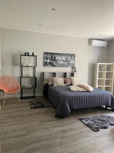 a bedroom with a large bed and a chair at Location appartement 1 chambre et dépendance en supplément voir infos importantes dans un mas provençal au coeur du luberon in Cavaillon