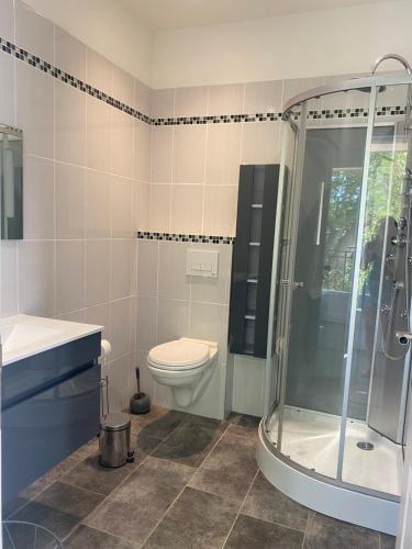 a bathroom with a toilet and a glass shower at Location appartement 1 chambre et dépendance en sus dans un mas provençal au coeur du luberon in Cavaillon