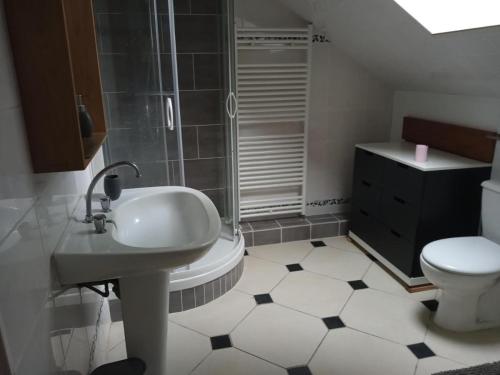 ein Bad mit einem Waschbecken, einer Dusche und einem WC in der Unterkunft Petit gîte du Manoir de Keryvoas in Kerlouan
