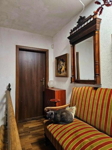 a dog laying on a couch in a living room at SielskoAnielsko k. Karpacza in Łomnica