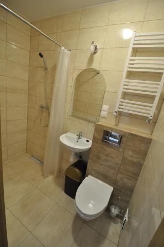 a bathroom with a toilet and a shower and a sink at willa grazyna 2 in Dźwirzyno