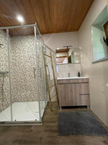 a bathroom with a shower and a sink and a mirror at Quinta da Recochina in Castro Daire