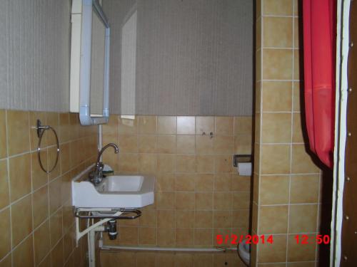 une salle de bain avec un lavabo et un miroir dans l'établissement Résidence les Sources Mont Dore, à Mont-Dore