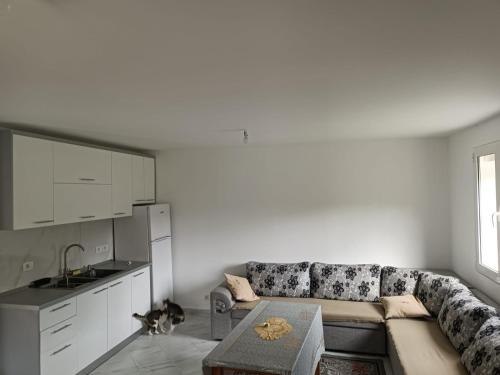 ein Wohnzimmer mit einem Sofa und einer Küche in der Unterkunft Tusha Vacation Home 