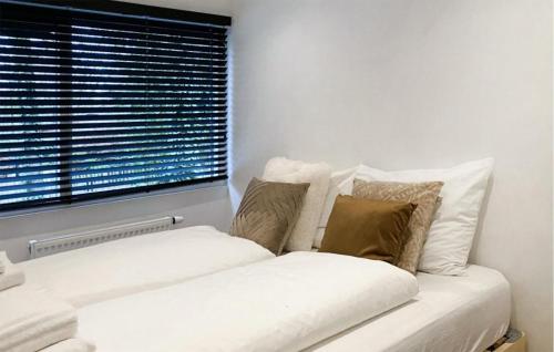 a white couch with pillows in a room with a window at Awesome Home In Rheezerveen With Sauna in Rheezerveen