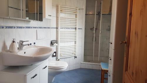 a bathroom with a sink and a toilet and a shower at Hagebutte in Wieck