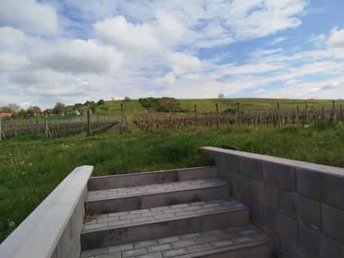 a set of concrete stairs in a field with a fence at Sklep Víno Strýček in Velké Bílovice