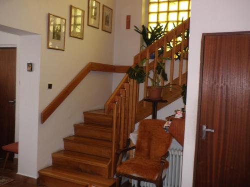 eine Treppe in einem Haus mit einem Stuhl und einer Pflanze in der Unterkunft Pension Arcadia Prague in Prag