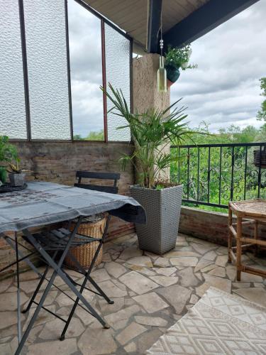 une terrasse avec une table et une plante en pot dans l'établissement La terrasse de Roxane, à Bergerac