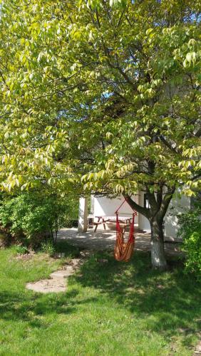 Gallery image of Casia House in Valea Lupului