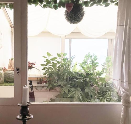 une fenêtre avec une plante en pot dans une pièce dans l'établissement Appartement verdoyant, à Noisy-le-Grand