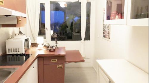 a small kitchen with a counter and a window at Appartement verdoyant in Noisy-le-Grand