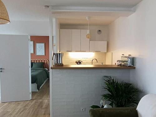Il comprend une cuisine et un salon avec un lit. dans l'établissement Appartement proximité directe Rouen, à Sotteville-lès-Rouen