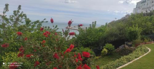 a garden with red flowers and a view of the ocean at VerdeMare in Rodi Garganico