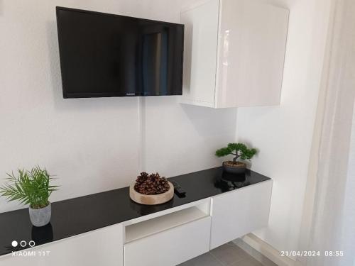 a room with a tv on a wall with plants at studio au cap d'agde dans les pinèdes in Cap d'Agde