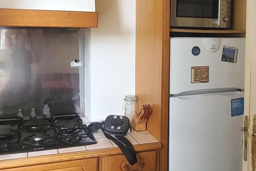 a kitchen with a stove and a refrigerator at Bel appartement aux portes de Paris in Cachan