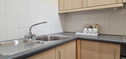 a kitchen with a sink and a counter top at Mermaid Suite Hotel in London